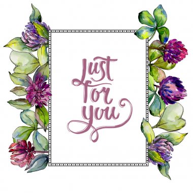 Kır çiçeği yonca çiçek bir suluboya stil çerçevesi içinde. 