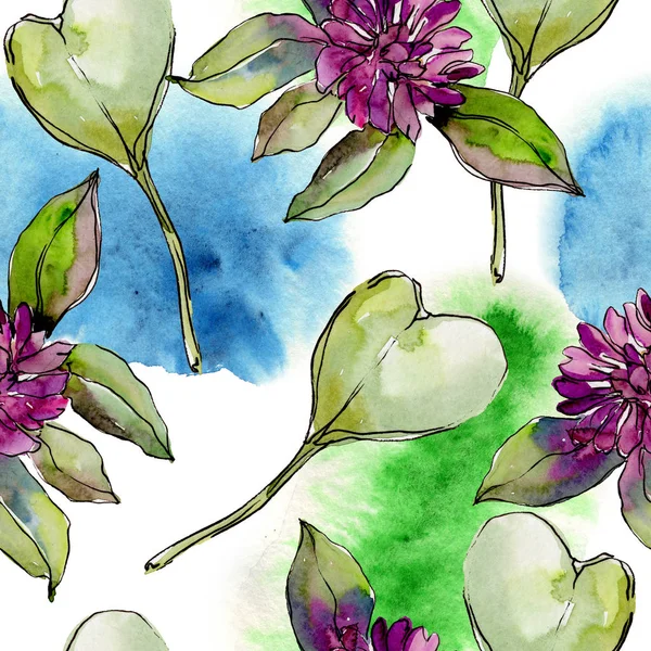 Kır çiçeği yonca çiçek bir suluboya tarzı desen. 