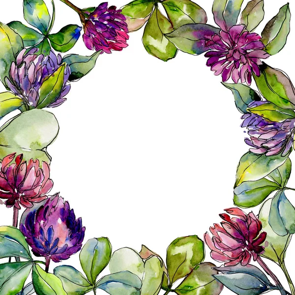 Wildflower klöver blomman i en akvarell stil ram. — Stockfoto