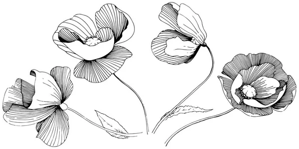 Ένα στυλ διάνυσμα απομονωμένη λουλούδι wildflower παπαρούνες. — Διανυσματικό Αρχείο