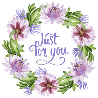 Pembe nilüfer. Botanik çiçek. Vahşi bahar yaprak kır çiçeği çerçeve.