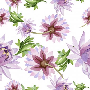 Pembe nilüfer. Botanik çiçek. Vahşi bahar yaprak kır çiçeği deseni.