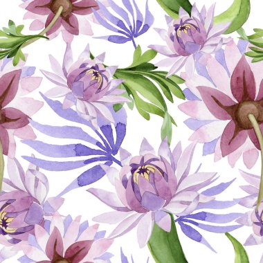 Pembe nilüfer. Botanik çiçek. Vahşi bahar yaprak kır çiçeği deseni.