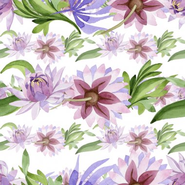 Pembe nilüfer. Botanik çiçek. Vahşi bahar yaprak kır çiçeği deseni.