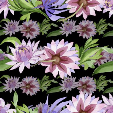 Pembe nilüfer. Botanik çiçek. Vahşi bahar yaprak kır çiçeği deseni.