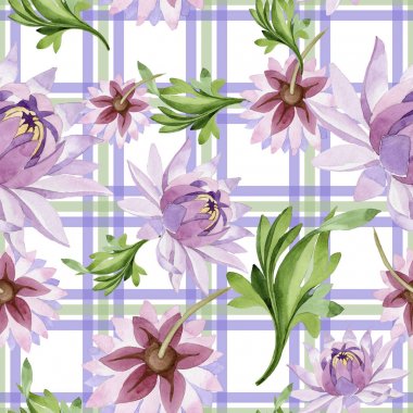 Pembe nilüfer. Botanik çiçek. Vahşi bahar yaprak kır çiçeği deseni.