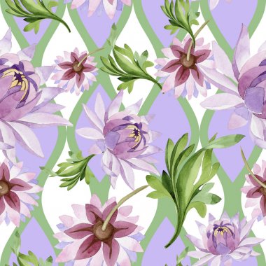 Pembe nilüfer. Botanik çiçek. Vahşi bahar yaprak kır çiçeği deseni.