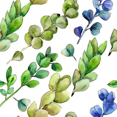 Yeşil Şimşir yaprak. Yaprak bitki botanik bahçe çiçek yaprakları.