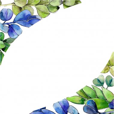 Yeşil Şimşir yaprak. Yaprak bitki botanik bahçe çiçek yaprakları.