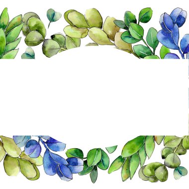 Yeşil Şimşir yaprak. Yaprak bitki botanik bahçe çiçek yaprakları.