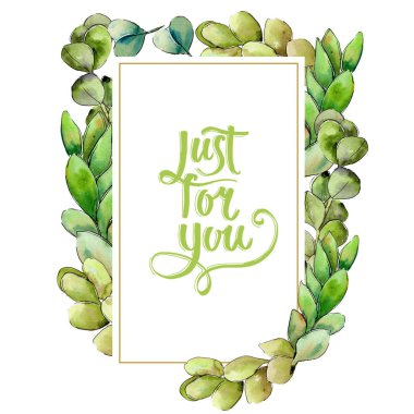 Yeşil Şimşir yaprak. Yaprak bitki botanik bahçe çiçek yaprakları.