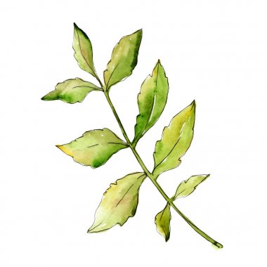 İzole bir suluboya tarzında kül bırakır.