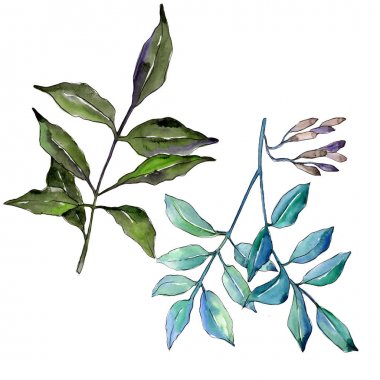 İzole bir suluboya tarzında kül bırakır.