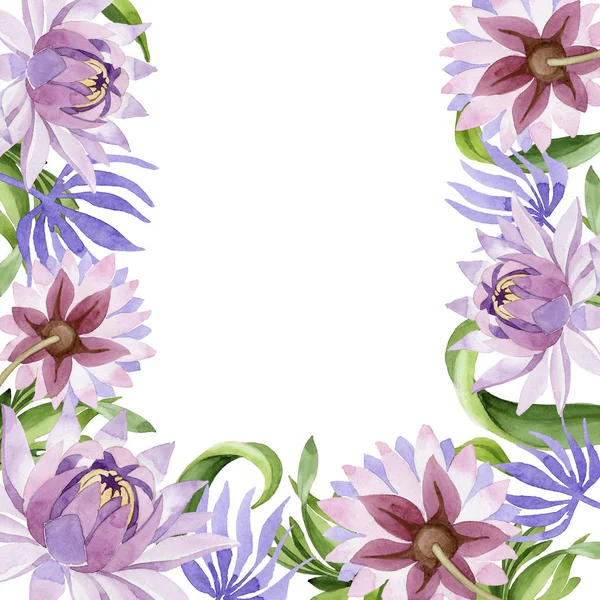Pink water lily. Floral botanical flower. Wild spring leaf wildflower frame. — Stock Photo, Image
