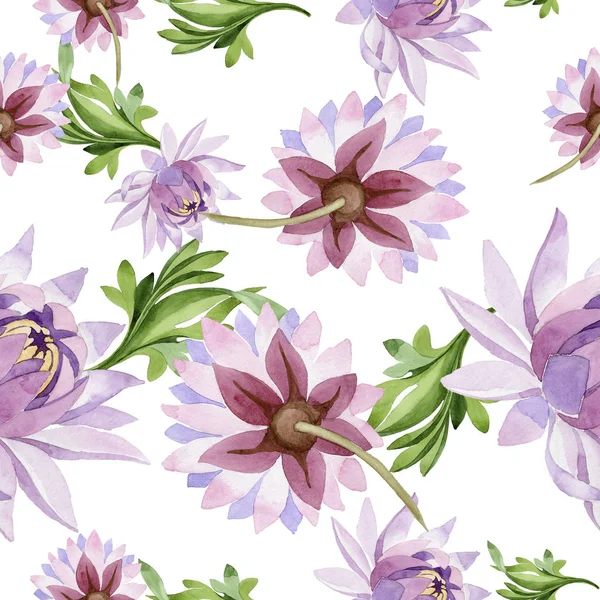 ピンクの睡蓮花植物の花。野生の春の葉のワイルドフラワーのパターン. — ストック写真