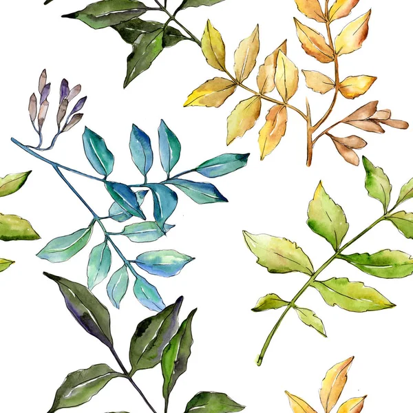 Ash leaves in a watercolor style pattern.