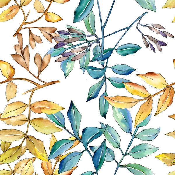 Ясень листья в стиле акварели . — стоковое фото