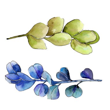 Yeşil Şimşir yaprak. Yaprak bitki botanik bahçe çiçek yaprakları.