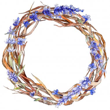 Mor lavanta. Botanik çiçek. İzole vahşi bahar yaprak kır çiçeği.