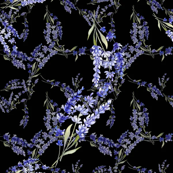 Lavanda violeta. Floral flor botânica. Folha de primavera selvagem wildflower isolado . — Fotografia de Stock