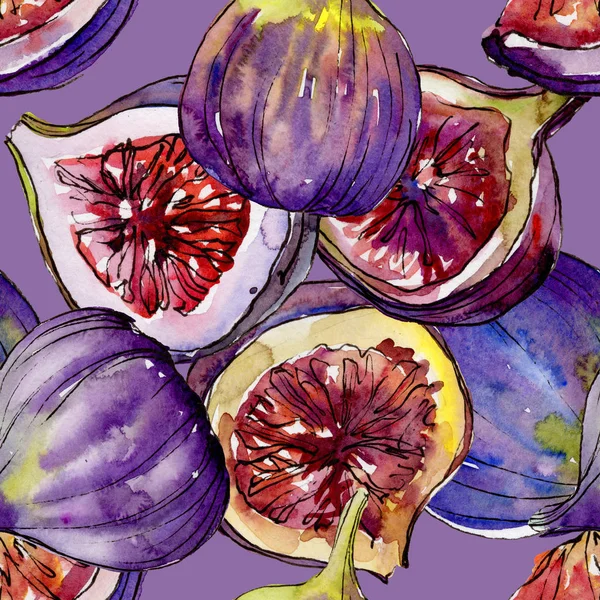 Exotic  violet figs wild fruit in a watercolor style pattern.