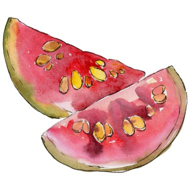 Egzotik guava yabani meyve izole bir suluboya tarzında.