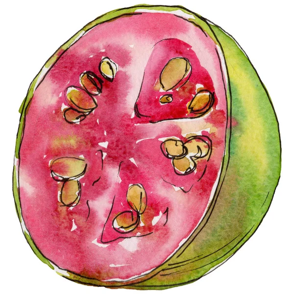 Goyave exotique fruits sauvages dans un style aquarelle isolé . — Photo
