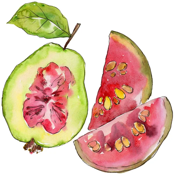 Exotické guavy divoké ovoce ve stylu akvarelu, samostatný. — Stock fotografie