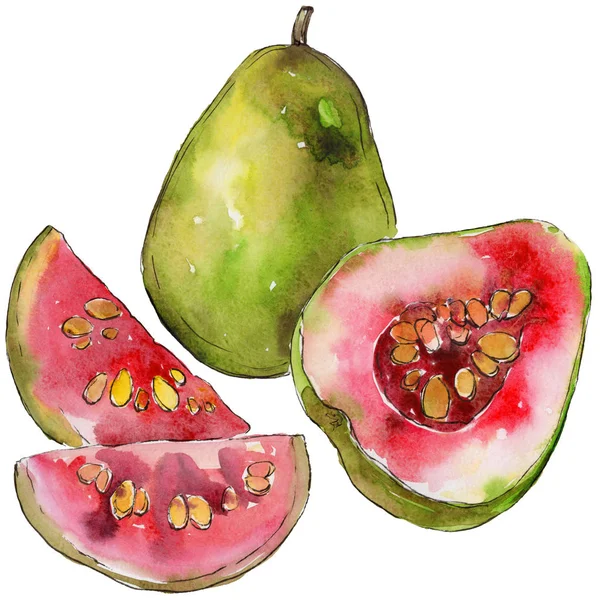 Goyave exotique fruits sauvages dans un style aquarelle isolé . — Photo