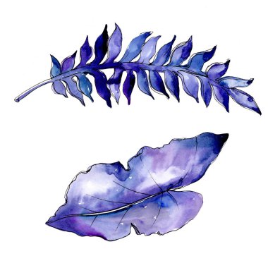 Bir suluboya tarzında izole mavi tropikal yaprak. 
