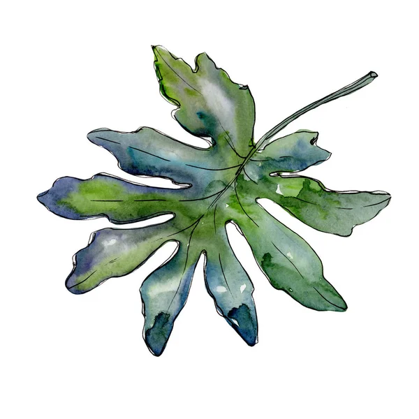 Μπλε τροπικά φύλλα σε στυλ υδροχρώματος απομονωμένες. — Φωτογραφία Αρχείου