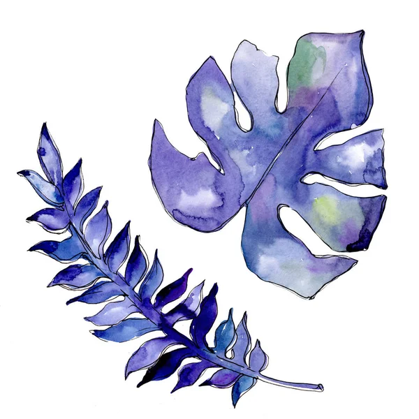 Μπλε τροπικά φύλλα σε στυλ υδροχρώματος απομονωμένες. — Φωτογραφία Αρχείου