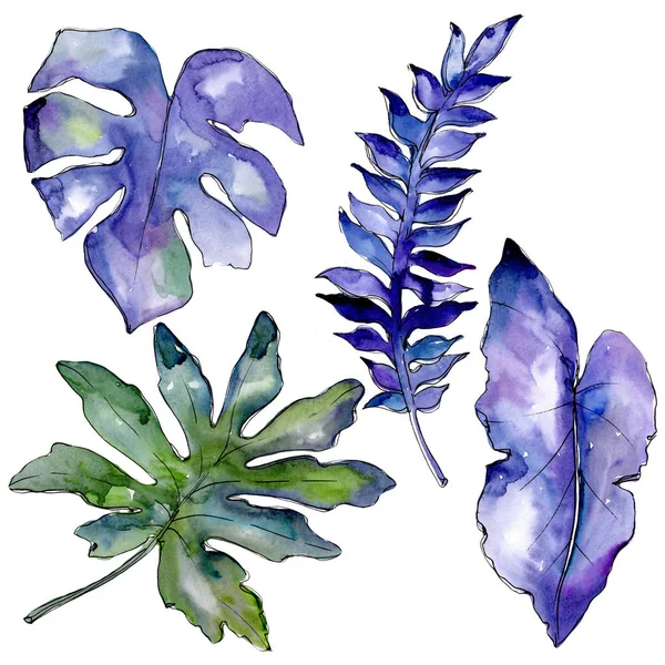 Modrá tropické listy ve stylu akvarelu, samostatný. — Stock fotografie