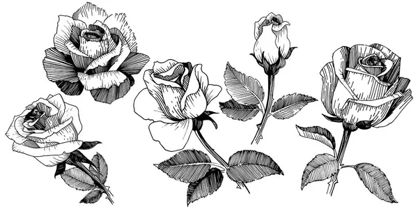 Flor silvestre rosa en un estilo vectorial aislado . — Archivo Imágenes Vectoriales