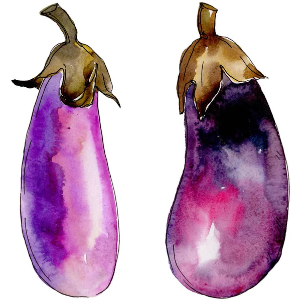 Vegetais silvestres de berinjela em estilo aquarela isolados . — Fotografia de Stock