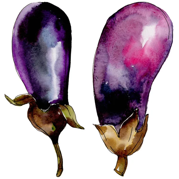 Vegetais silvestres de berinjela em estilo aquarela isolados . — Fotografia de Stock