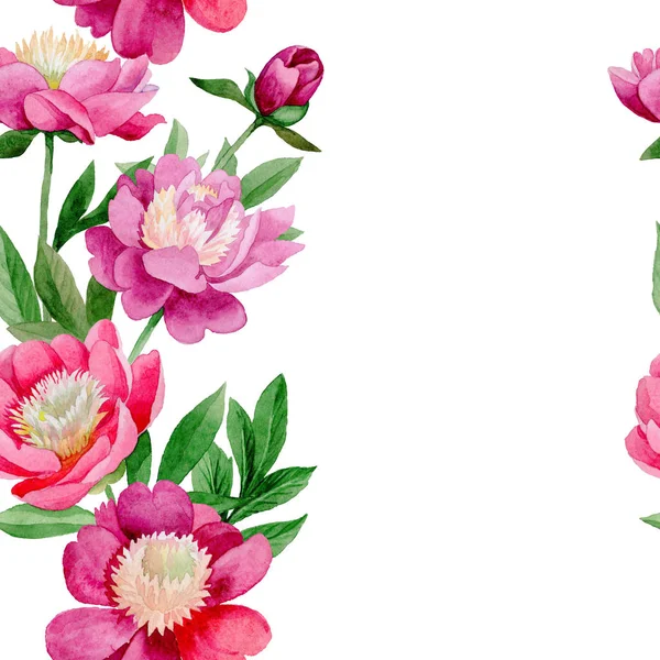 Rózsaszín bazsarózsa. Virágos botanikai virág. Vad nyári levél vadvirág minta. — Stock Fotó