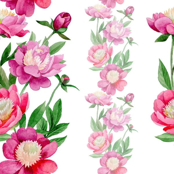 Pink peony. Floral botanical flower. Wild summer leaf wildflower pattern. — Stock Photo, Image