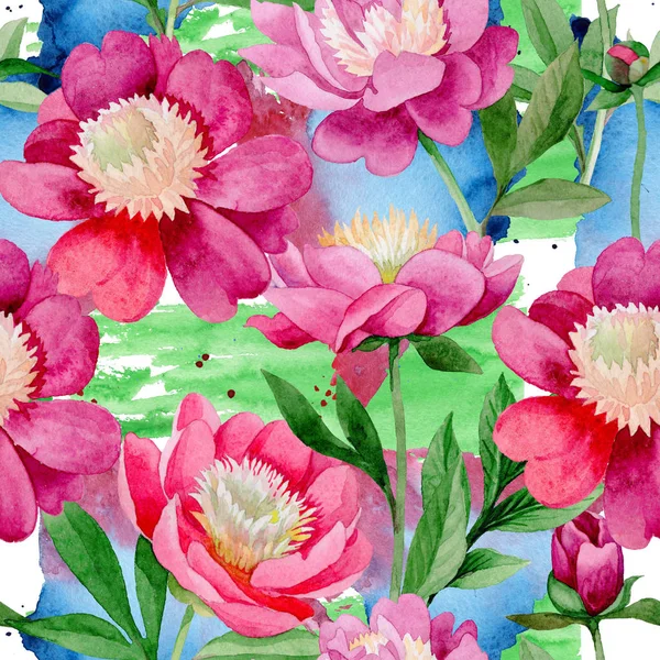 Peonía rosa. Flor botánica floral. Patrón de flores silvestres de hoja de verano . — Foto de Stock