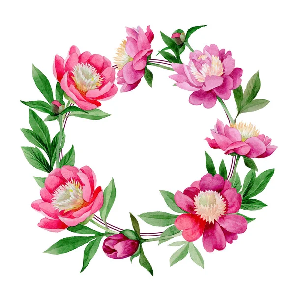 Rózsaszín bazsarózsa. Virágos botanikai virág. Vad nyári levél vadvirág keret. — Stock Fotó