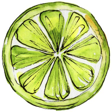 Egzotik turuncu vahşi meyve izole bir suluboya tarzında.