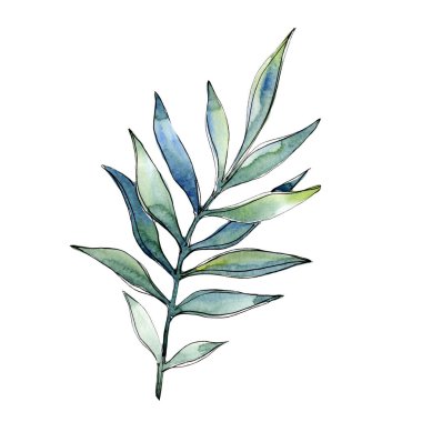 Bir suluboya tarzında izole tropikal yeşil lesves.