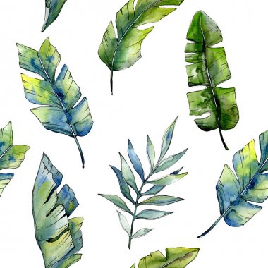 Bir suluboya tarzı desen tropikal yeşil lesves.