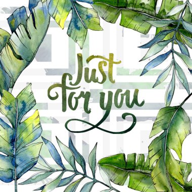 Bir suluboya stil çerçevesi içinde tropikal yeşil lesves.