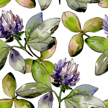 Kır çiçeği yonca çiçek bir suluboya tarzı desen.