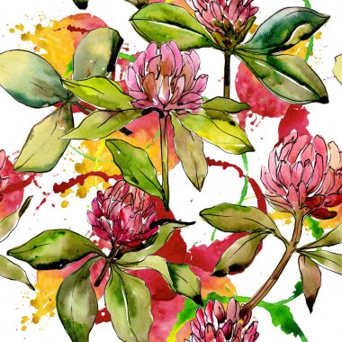 Kır çiçeği yonca çiçek bir suluboya tarzı desen.