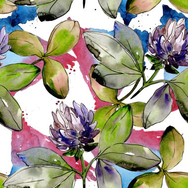 Kır çiçeği yonca çiçek bir suluboya tarzı desen.