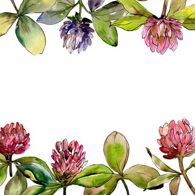 Kır çiçeği yonca çiçek bir suluboya stil çerçevesi içinde.