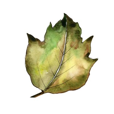 Kartopu izole bir suluboya tarzında bırakır.