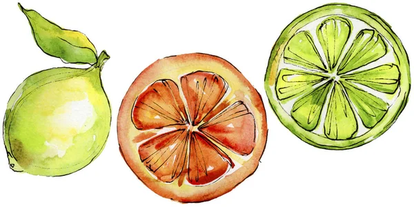 Exotické citrusům divoké ovoce ve stylu akvarelu, samostatný. — Stock fotografie